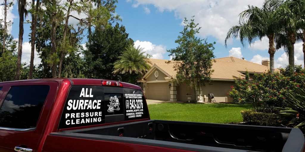 Tile Roof Cleaning - After