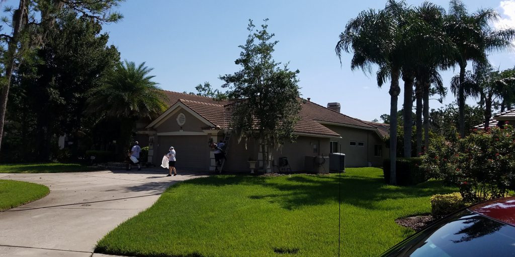 Tile Roof Cleaning - Before